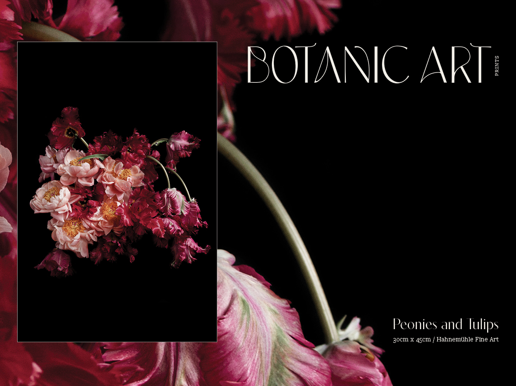 BotanicArt-ImageDisplays3