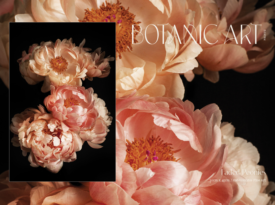 BotanicArt-ImageDisplays4