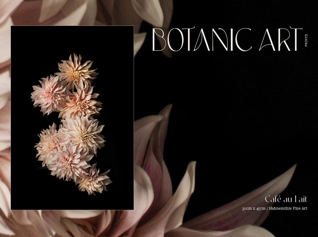 BotanicArt-ImageDisplays5