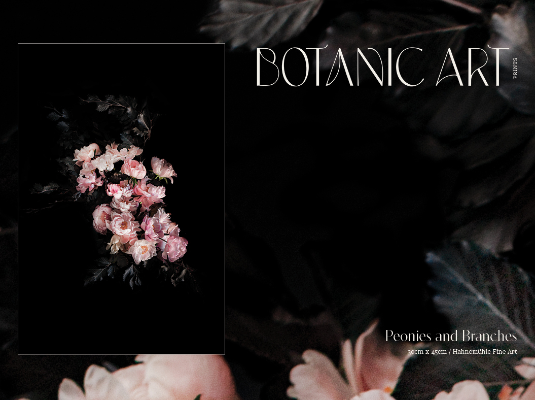 BotanicArt-ImageDisplays7